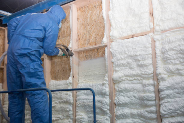 Best Soundproof Insulation  in Sulphur, LA